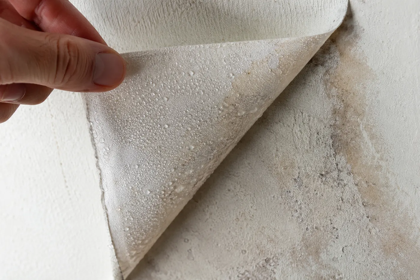 Feuille d'aluminium soulevée par un coin : des gouttelettes sur la face côté pièce, et le mur taché derrière